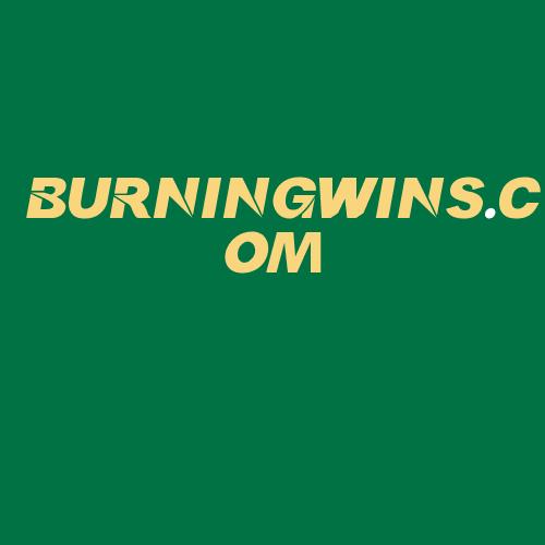 Logo da BURNINGWINS